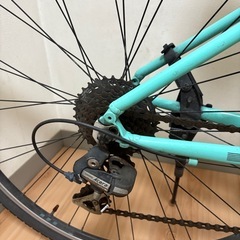 Bianchi　の画像