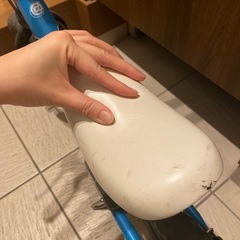 ストライダーの画像