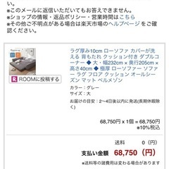 (極美品)グータラグ(定価68750円) 厚さ10cm ローソファの画像