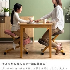 プロポーションチェアの画像