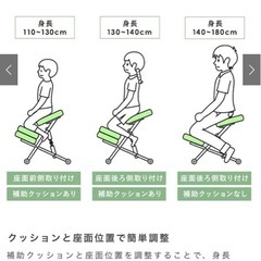 プロポーションチェアの画像