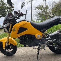 グロムGROM jc61カスタム多数の画像