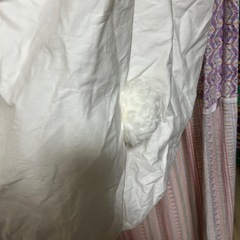 ぽちゃむ　コスプレ衣装の画像