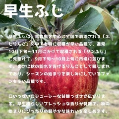2.【青森県産】【送料無料】 【産地直送】【早生ふじ】【家庭用】【簡易梱包】【4KG】の画像