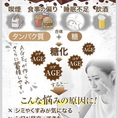 【新品】健康茶 美容茶 フフピュア ヒシ茶パウダー 60g ノンカフェイン 粉末タイプの画像