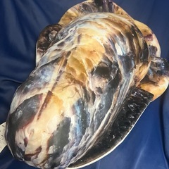 旨うま生牡蠣　ウルトラBIGぬいぐるみ　クッション　新品未使用　なまがき　貝の画像