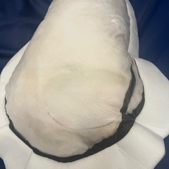 旨うま生牡蠣　ウルトラBIGぬいぐるみ　クッション　新品未使用　なまがき　貝の画像