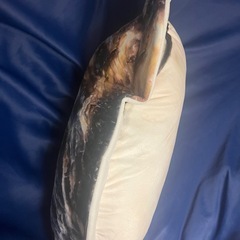 旨うま生牡蠣　ウルトラBIGぬいぐるみ　クッション　新品未使用　なまがき　貝の画像