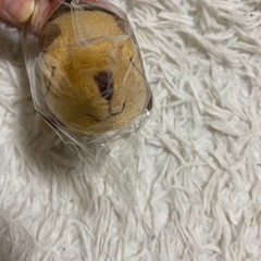 竹炭ドッグクリーナーの画像