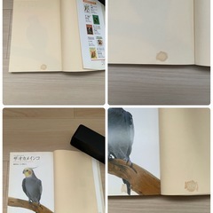オカメインコの本の画像