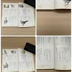 オカメインコの本の画像
