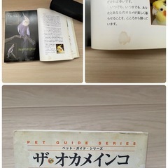 オカメインコの本の画像
