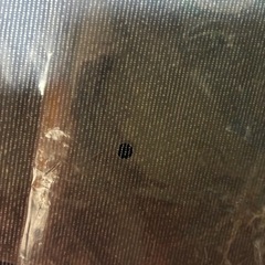 ビニール袋②の画像
