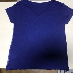 トップバリュー製VネックシャツLの画像