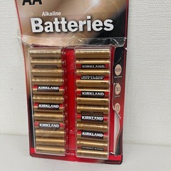 カークランドシグネチャー　アルカリ単3乾電池 48本 R67-227380の画像
