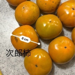 【数量限定】富有柿&次郎柿の画像