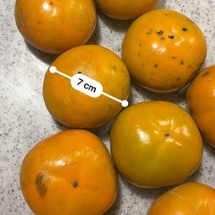 【数量限定】富有柿&次郎柿の画像