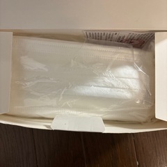 不織布マスク 50枚入の画像
