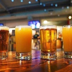50代から65歳ぐらいの飲み会募集