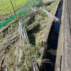 ビニールハウス2棟セットの画像