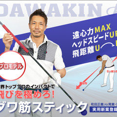 【新品未使用】リンクス ゴルフ ダワ筋スティック スイング 練習器　DAWAKIN STICKの画像