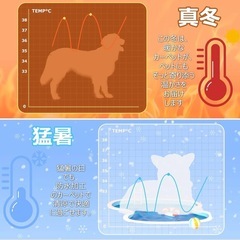 【新品】ペット用ホットカーペット リモコン搭載 犬 猫の画像