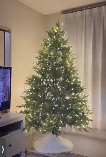 クリスマスツリー