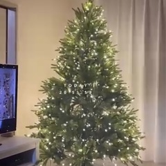 クリスマスツリーの画像