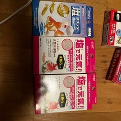 観賞魚用の画像