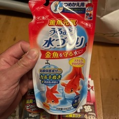 観賞魚用の画像