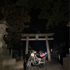 ガンマ50の画像
