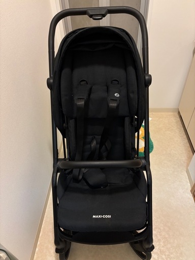 マキシコシ　レオナ２