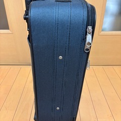 キャリーバッグ　布製　二輪の画像