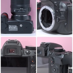 Nikon D3100 標準レンズセット✨初心者さんおすすめ✨手ブレ補正付き✨の画像