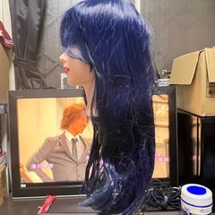 ウィッグ　12の画像