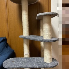 キャットタワーの画像