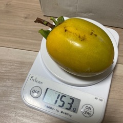 1つ50円渋柿大サイズ150g前後の画像