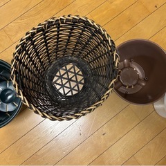 鉢6個の画像