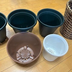 鉢6個の画像