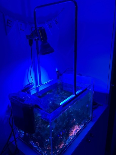 海水水槽一式