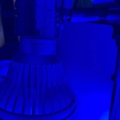 海水水槽一式の画像