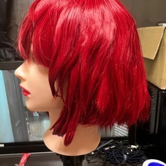 ウィッグ　14の画像