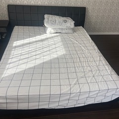 ベットの画像
