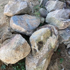 庭石
の画像