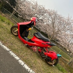 ライブディオ　ロンホイ　zx仕様の画像