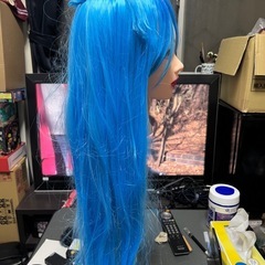 ウィッグ　15の画像