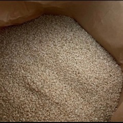 令和7年産　新米　にじのきらめき　玄米　精米可能の画像