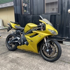 トライアンフ　デイトナ675  450台限定車の画像
