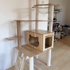ねこたわー 猫タワー（決定した）
の画像