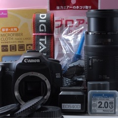 美品　Canon 40D 望遠レンズセット　ショット数わずか　初心者さんにオススメ　CFカードつき！の画像